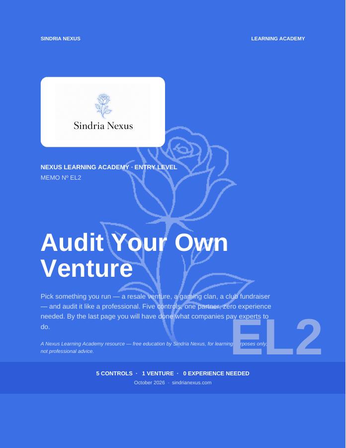 Audit Your Own Venture book cover