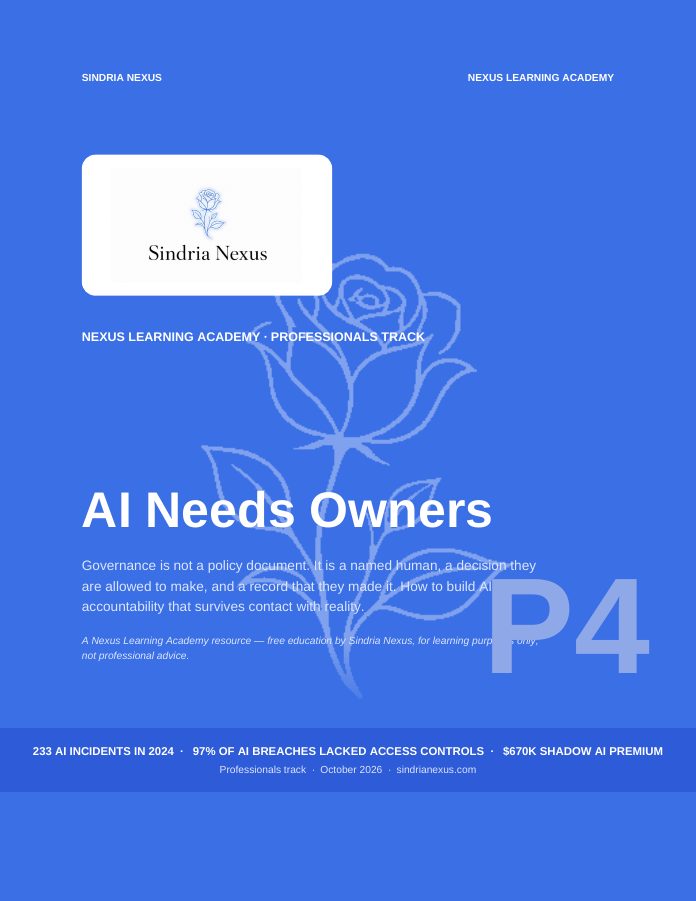 AI Needs Owners book cover